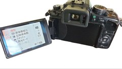 Panasonic LUMIX G1 Micro Four Thirds Digital Camera Used Very Good JP